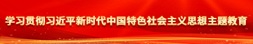 免费干b视频学习贯彻习近平新时代中国特色社会主义思想主题教育